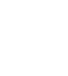 •	business consulting •	surveys